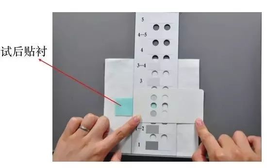 定型機(jī),涂層機(jī),地毯機(jī),地毯背膠機(jī),靜電植絨機(jī)