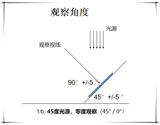 定型機,涂層機,地毯機,地毯背膠機,靜電植絨機